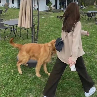 旋风九日